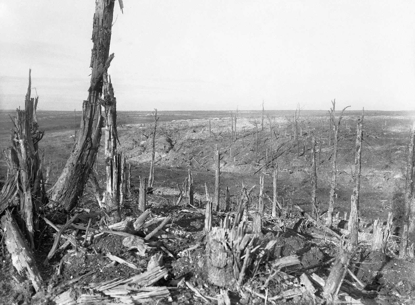 The battlefield at Beaumont Hamel.