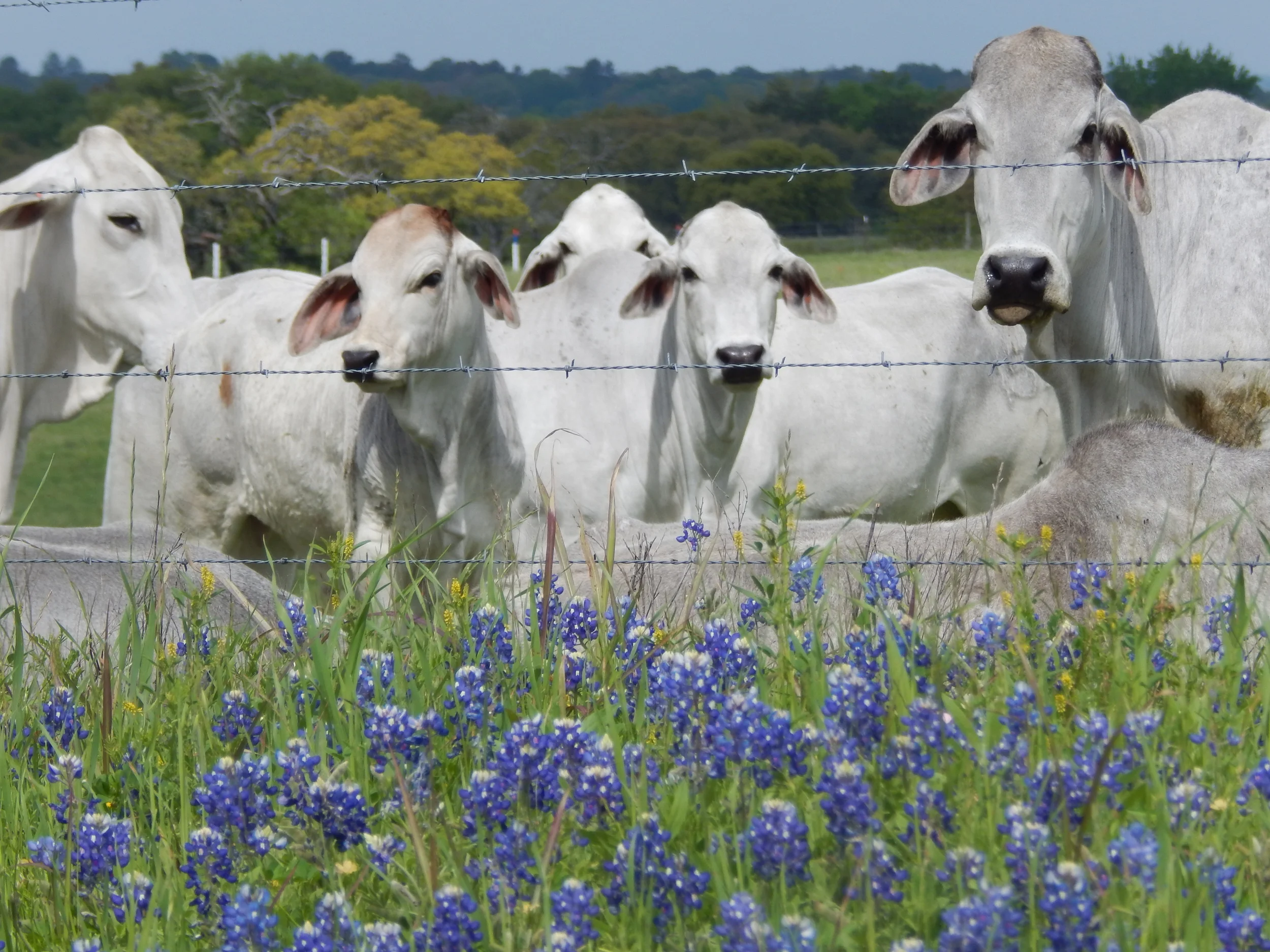 Namibia Travels Part I - Back to Texas I Go