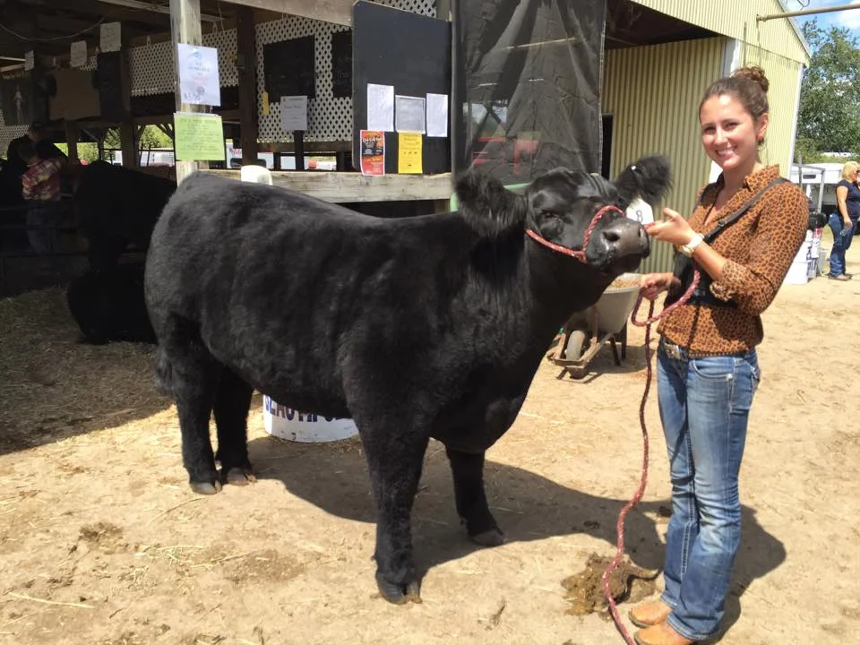 No Such Thing as Luck in Showing Livestock