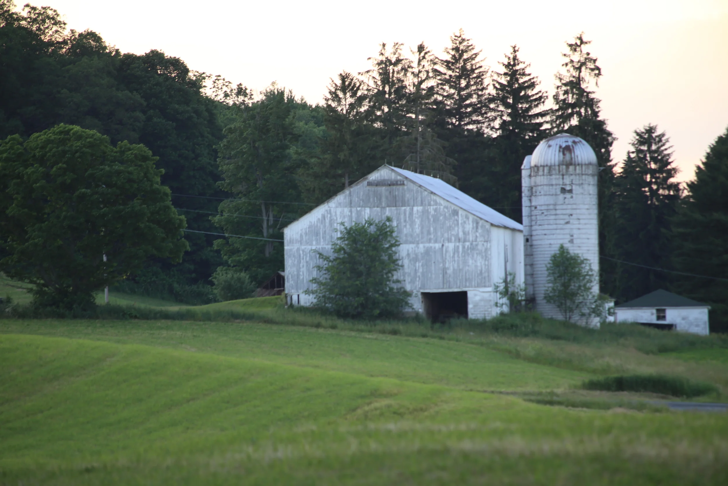 Throwback Thursday: My Barn