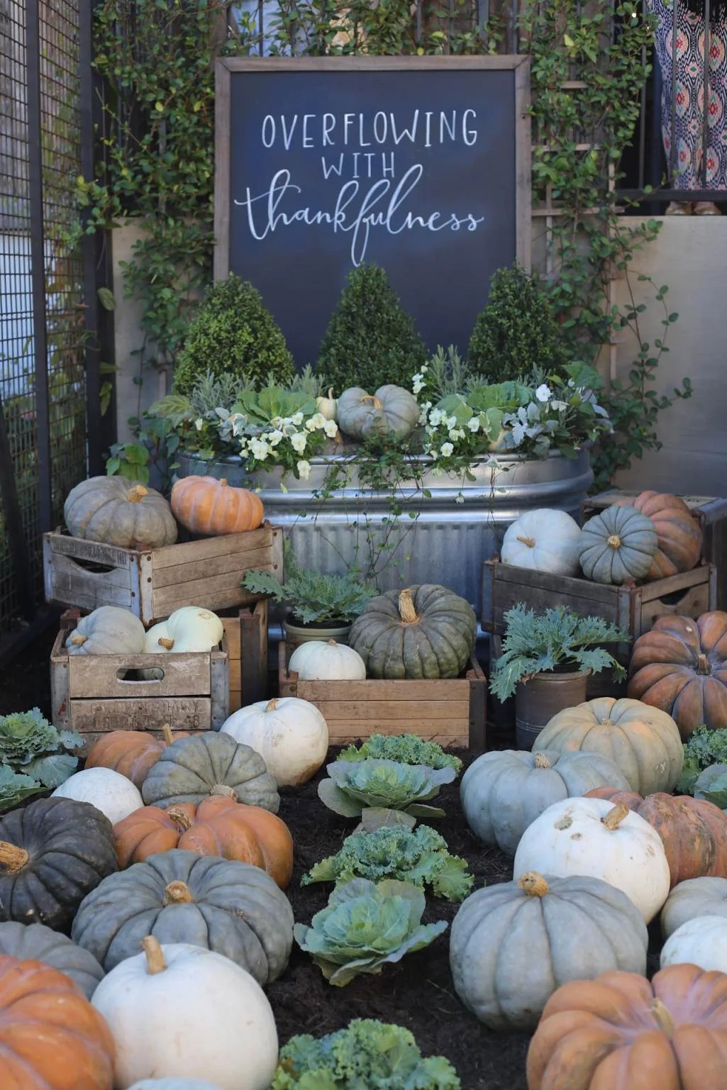 30 Days of Thankfulness