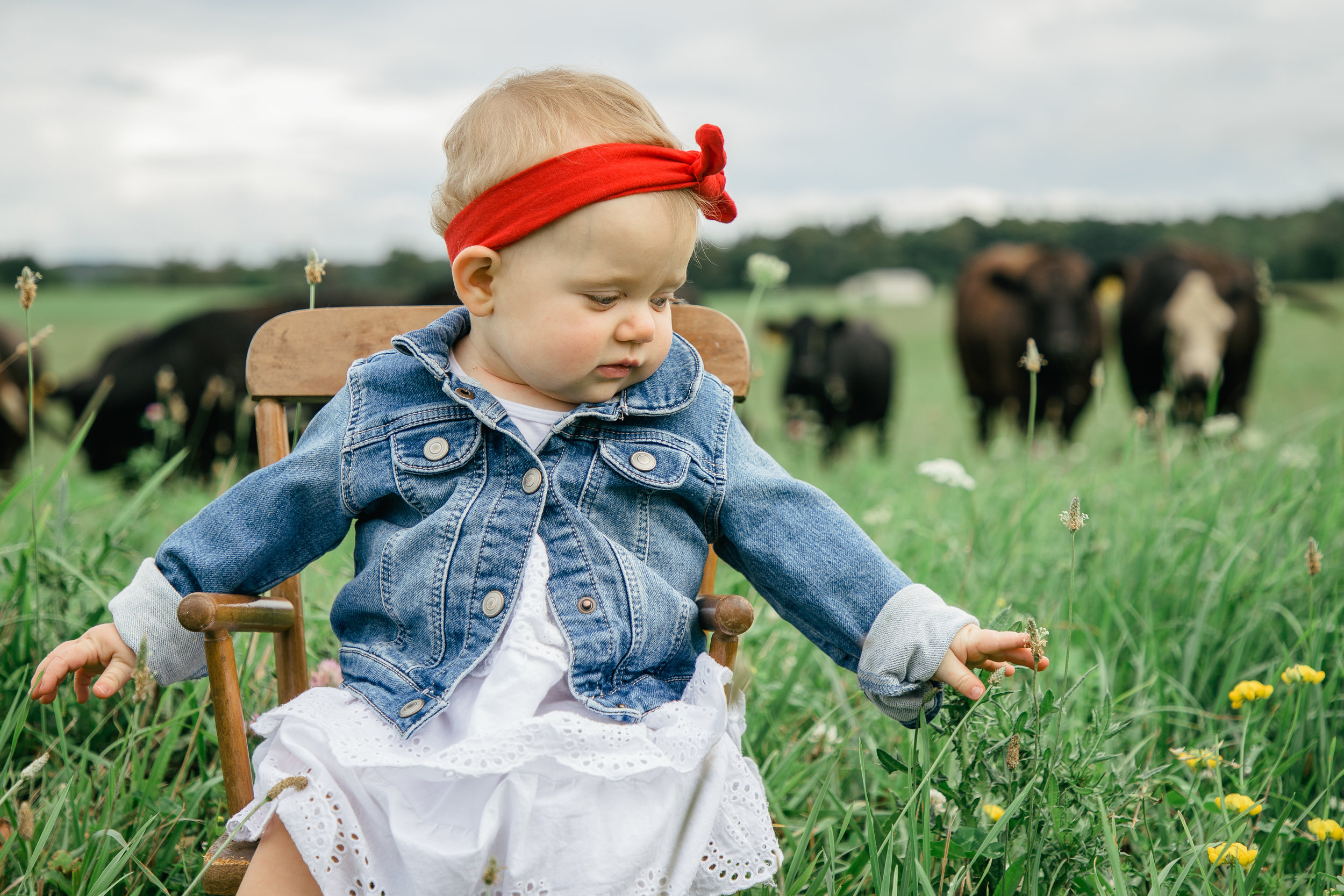 Adacyn Jo's First Birthday — Sundance & Co. Photography