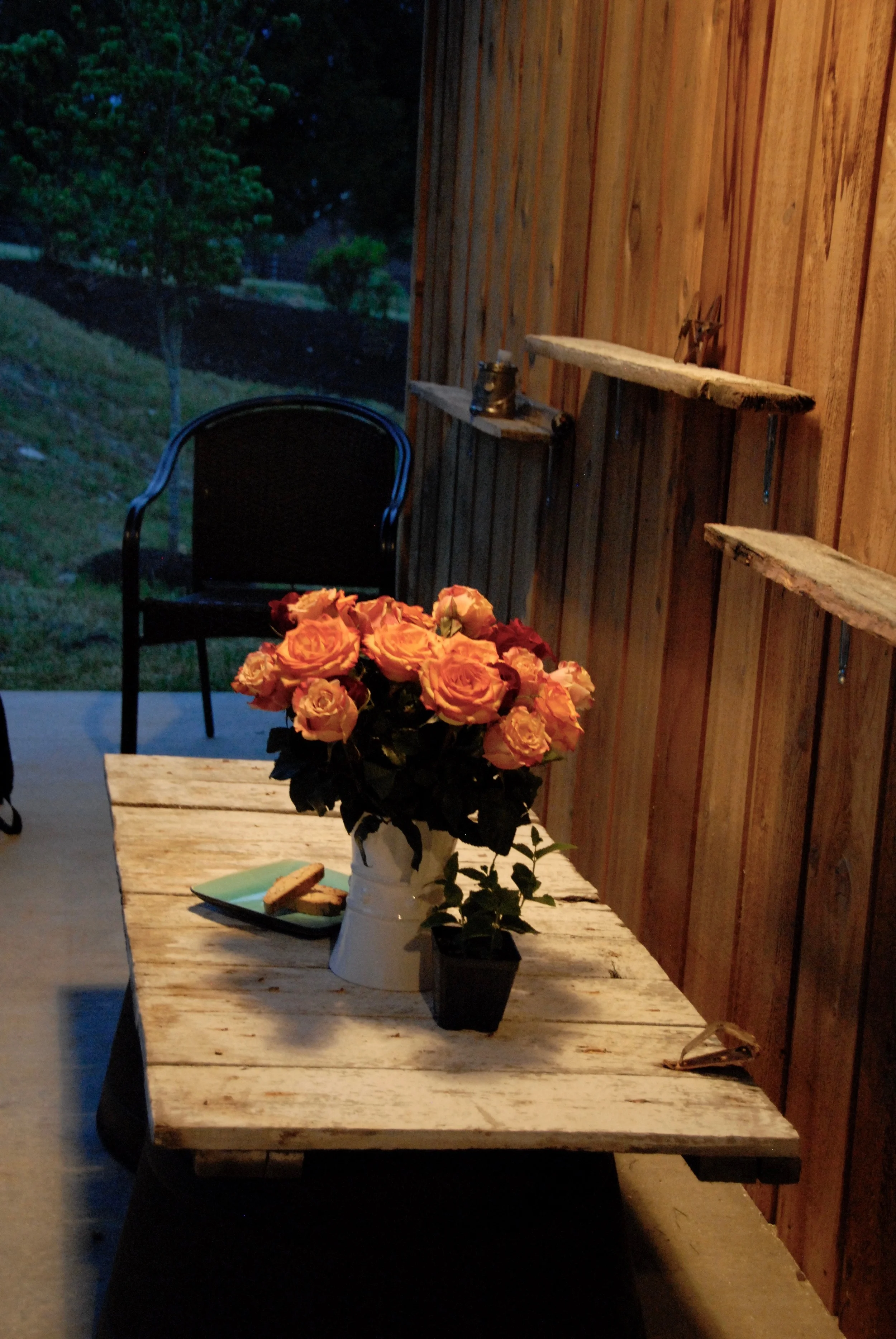 Nocturnal still life