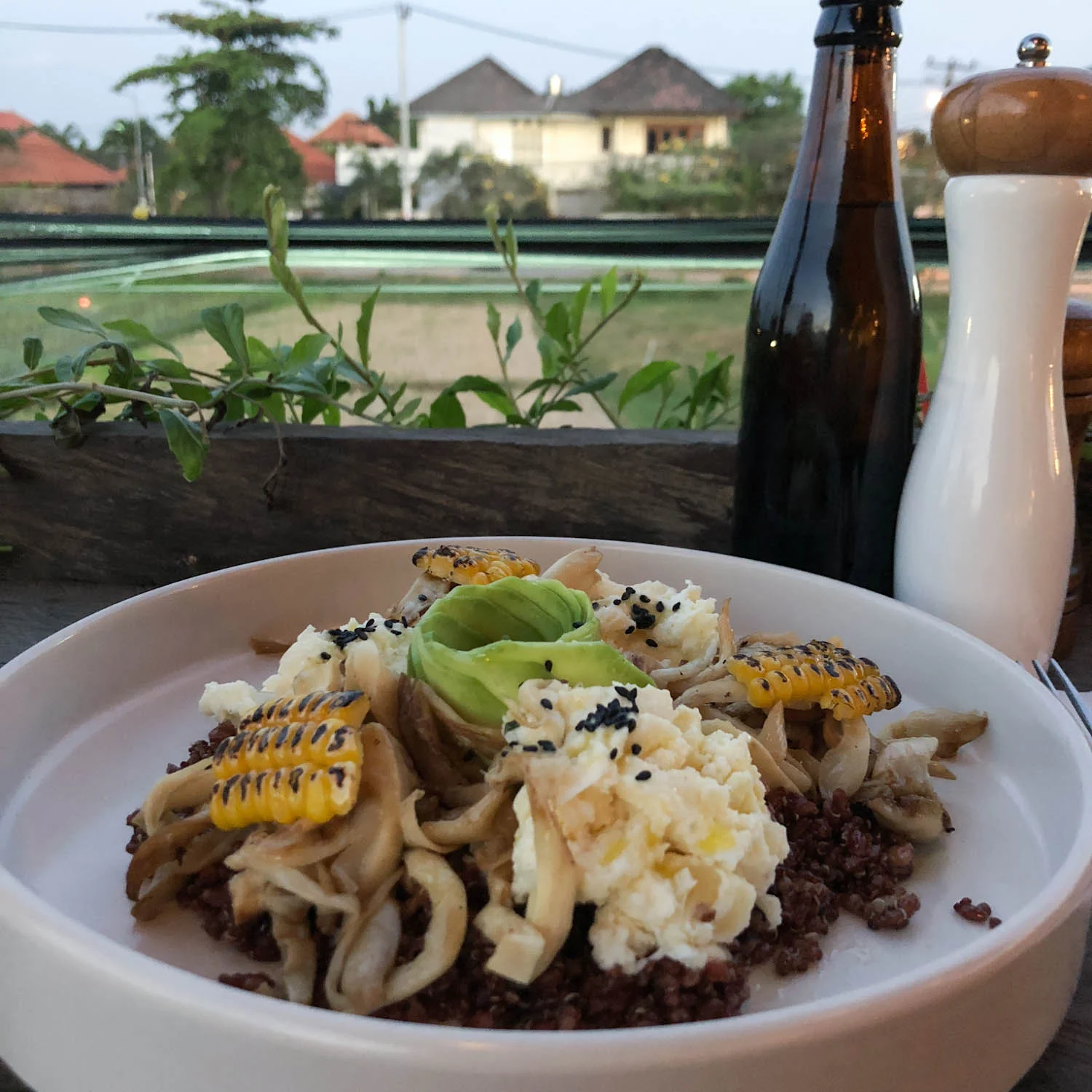 You can’t beat the food in Bali! It is the land of all things organic and even the vegan food is insanely delicious. This is a yummy dish from the Avocado Factory in Canggu, which overlooks a rice field.