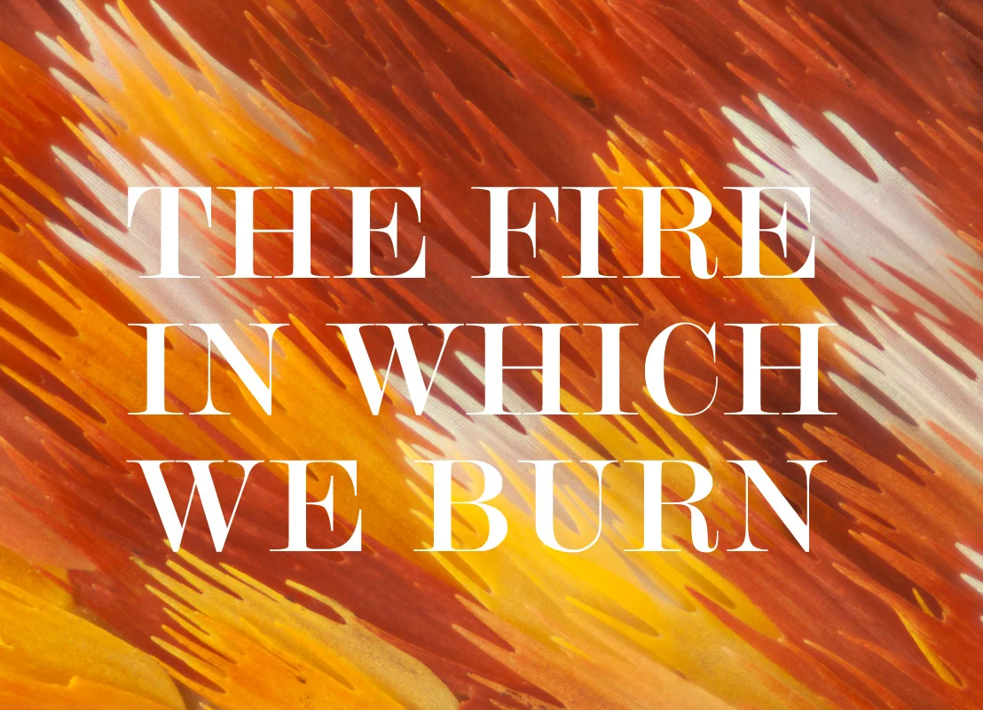 The Fire in Which We Burn.jpg