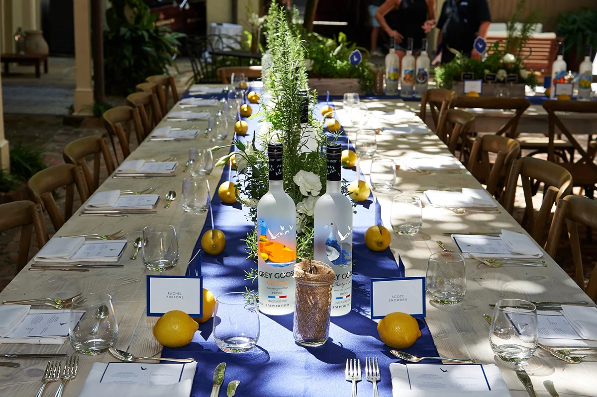 20150716_TOTC_Goose_268.jpg