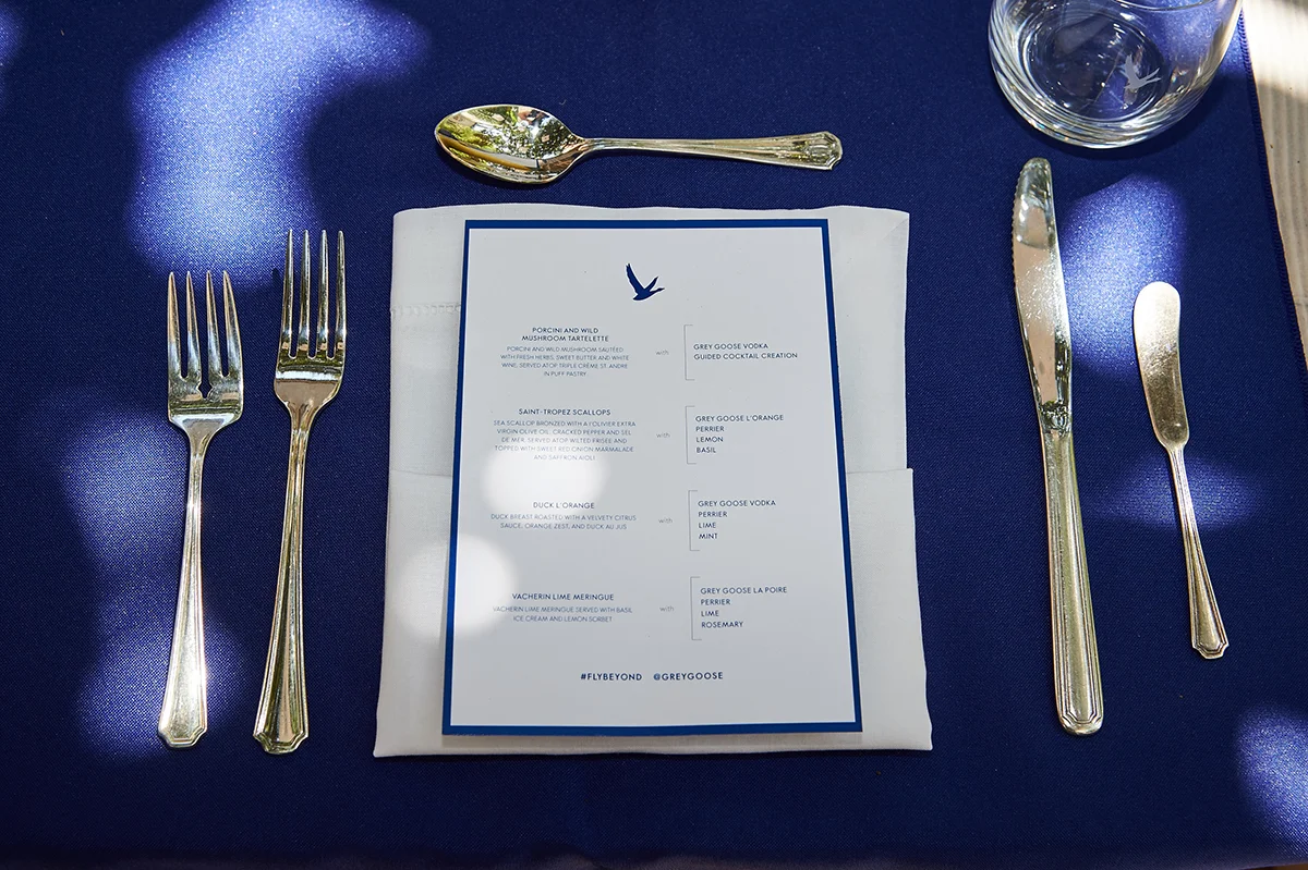 20150716_TOTC_Goose_297.jpg