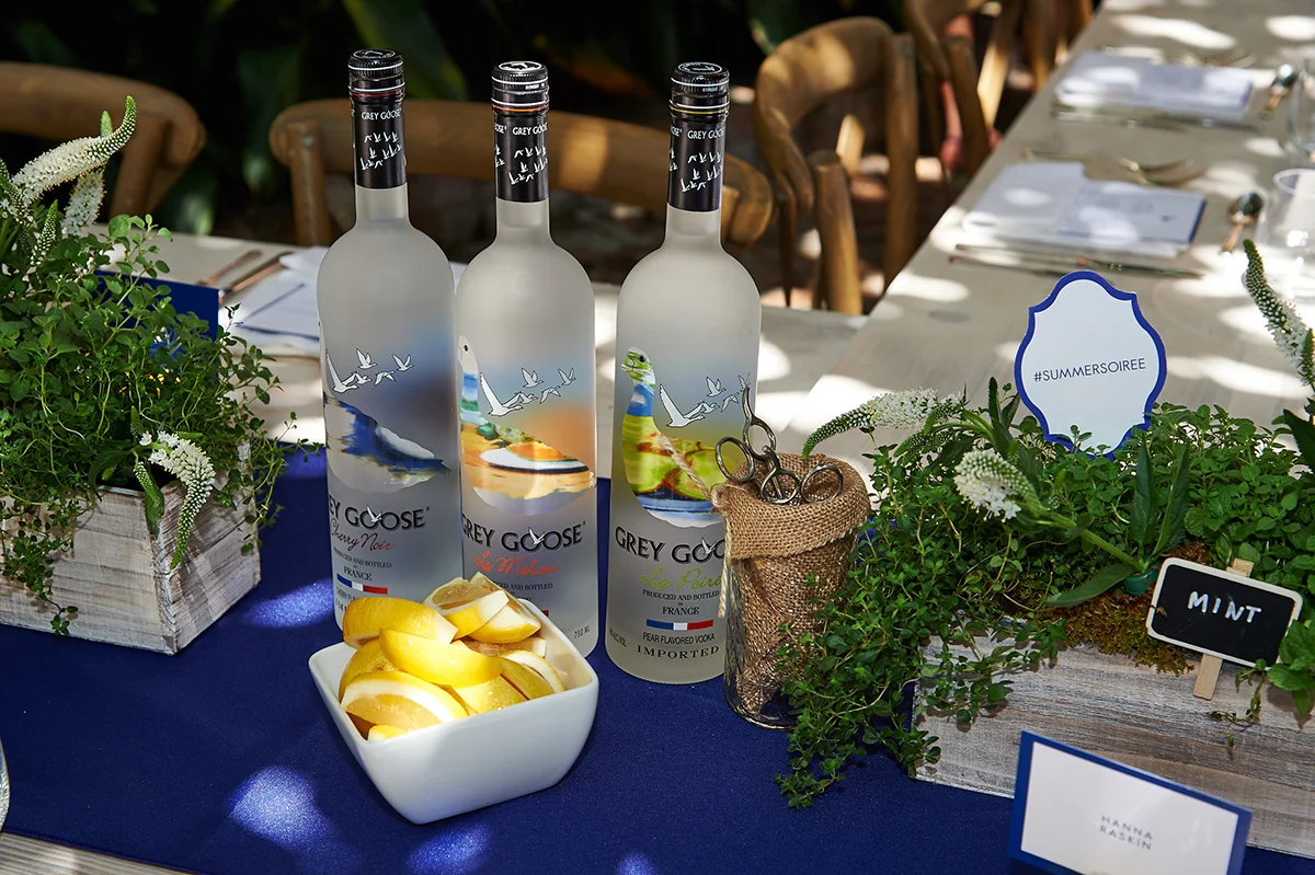 20150716_TOTC_Goose_374.jpg