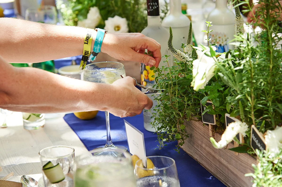 20150716_TOTC_Goose_711.jpg