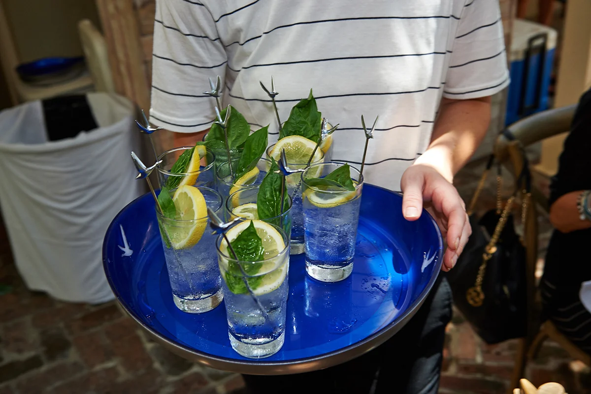 20150716_TOTC_Goose_820.jpg
