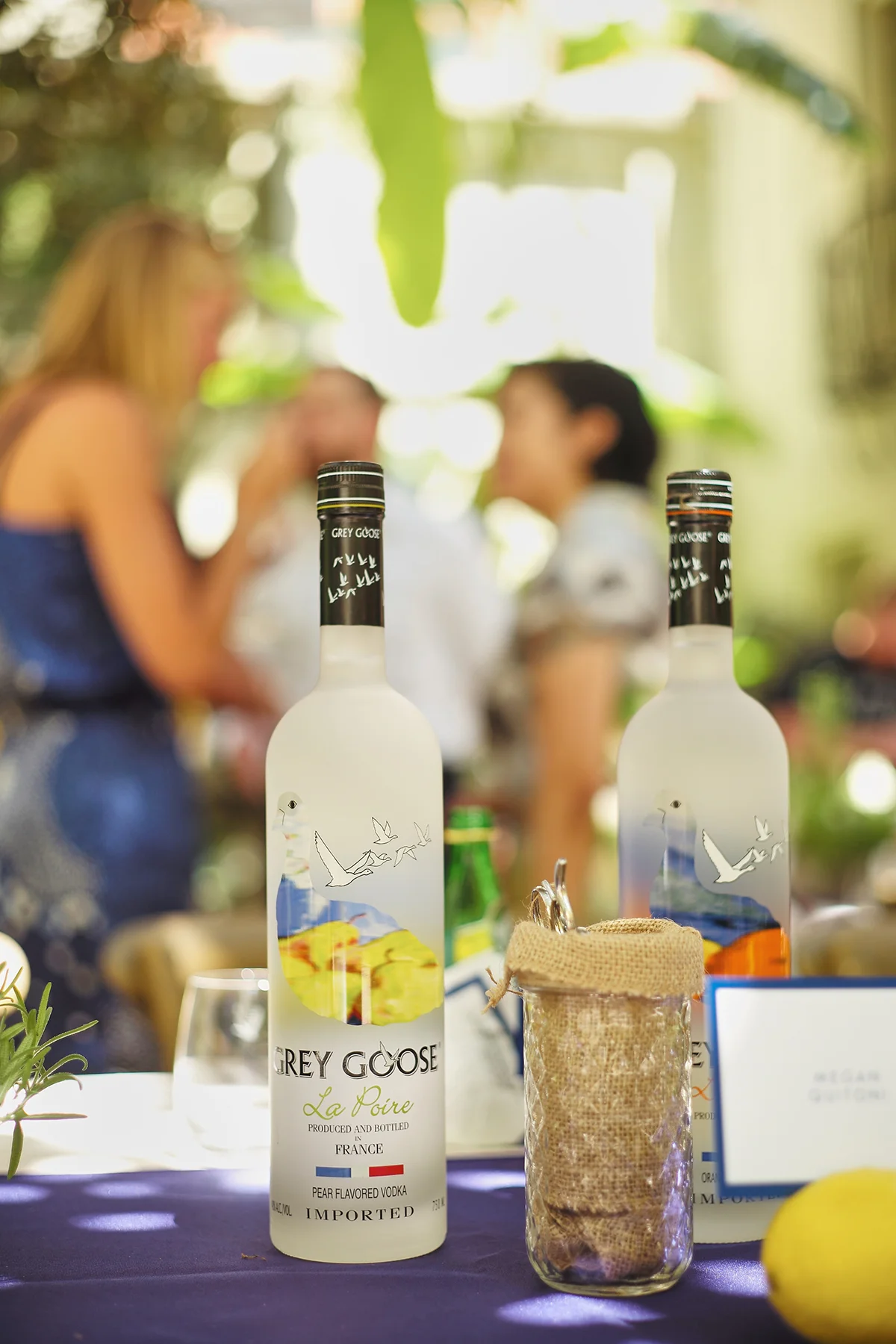 20150716_TOTC_Goose_1175.jpg