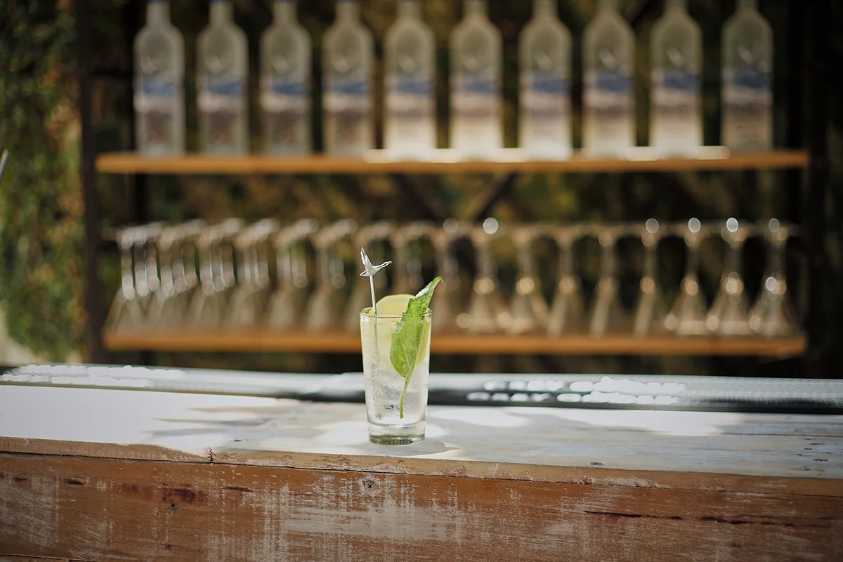 20150716_TOTC_Goose_1222.jpg