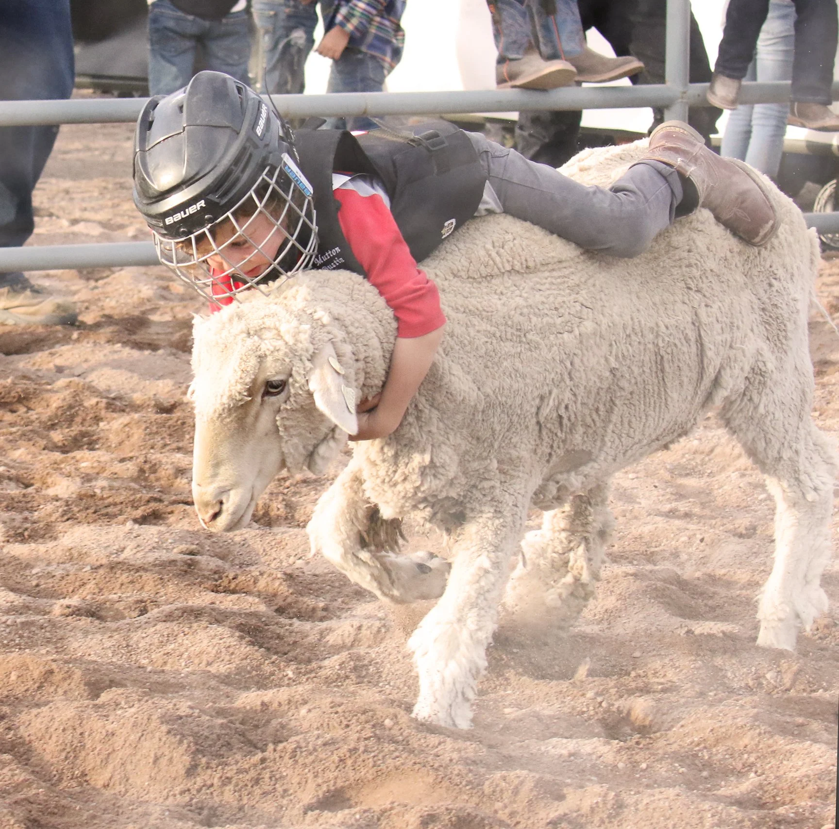 IMG_5439 copy.jpg