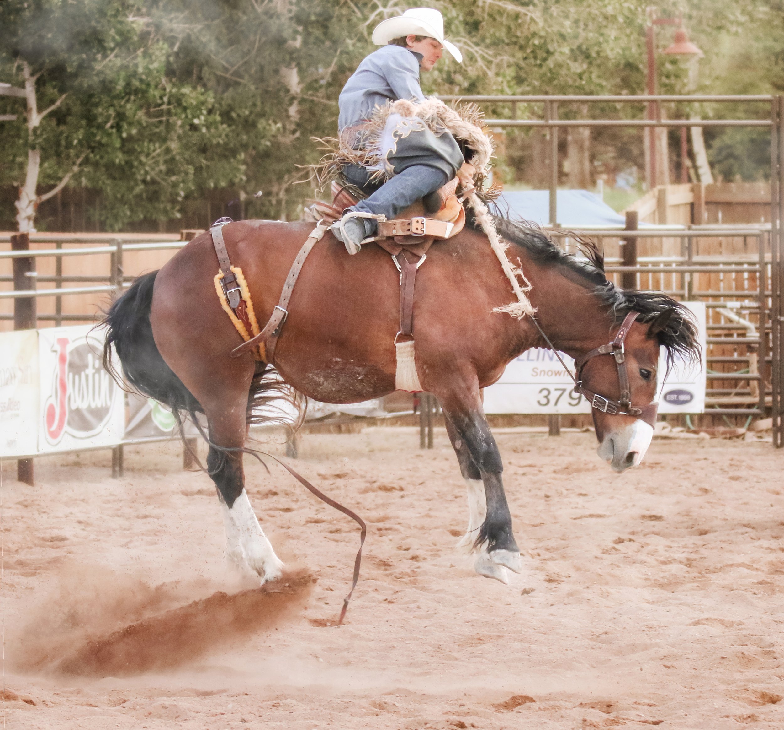 IMG_3914 copy.jpg