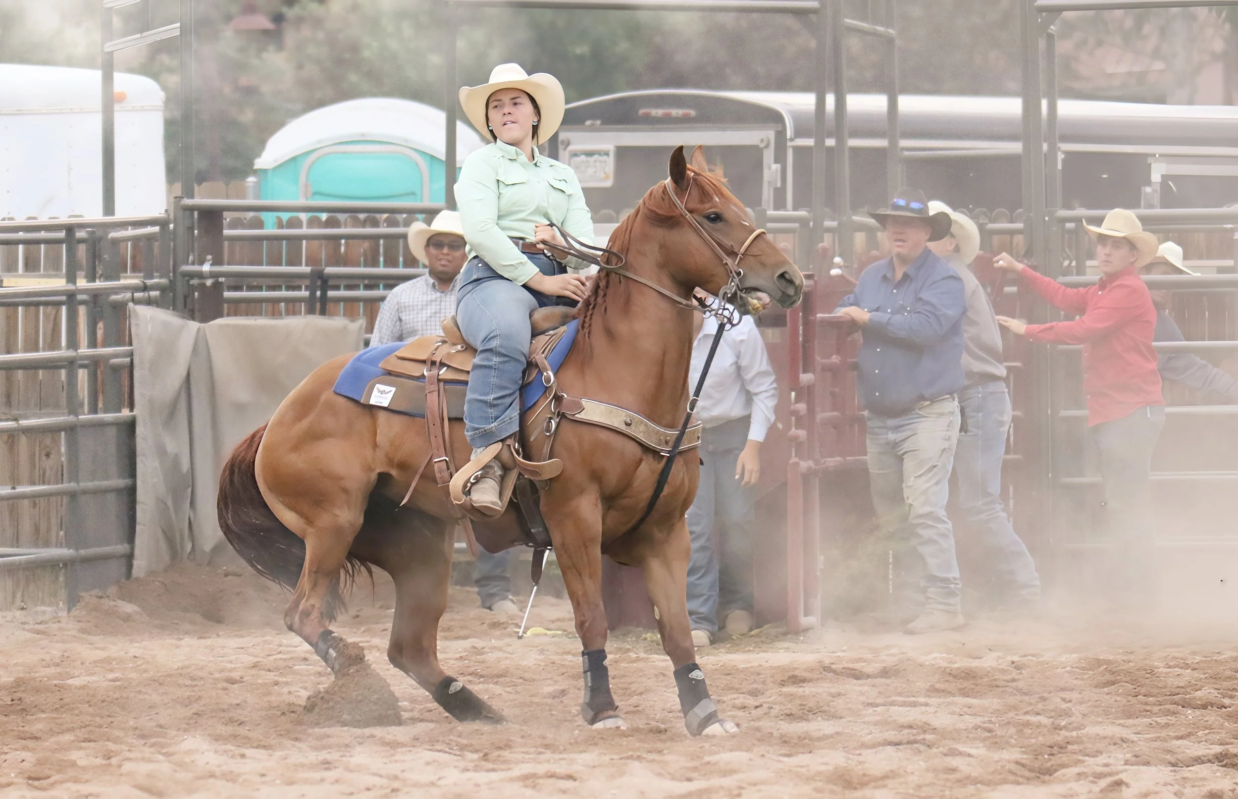 IMG_7906 copy 3.jpg