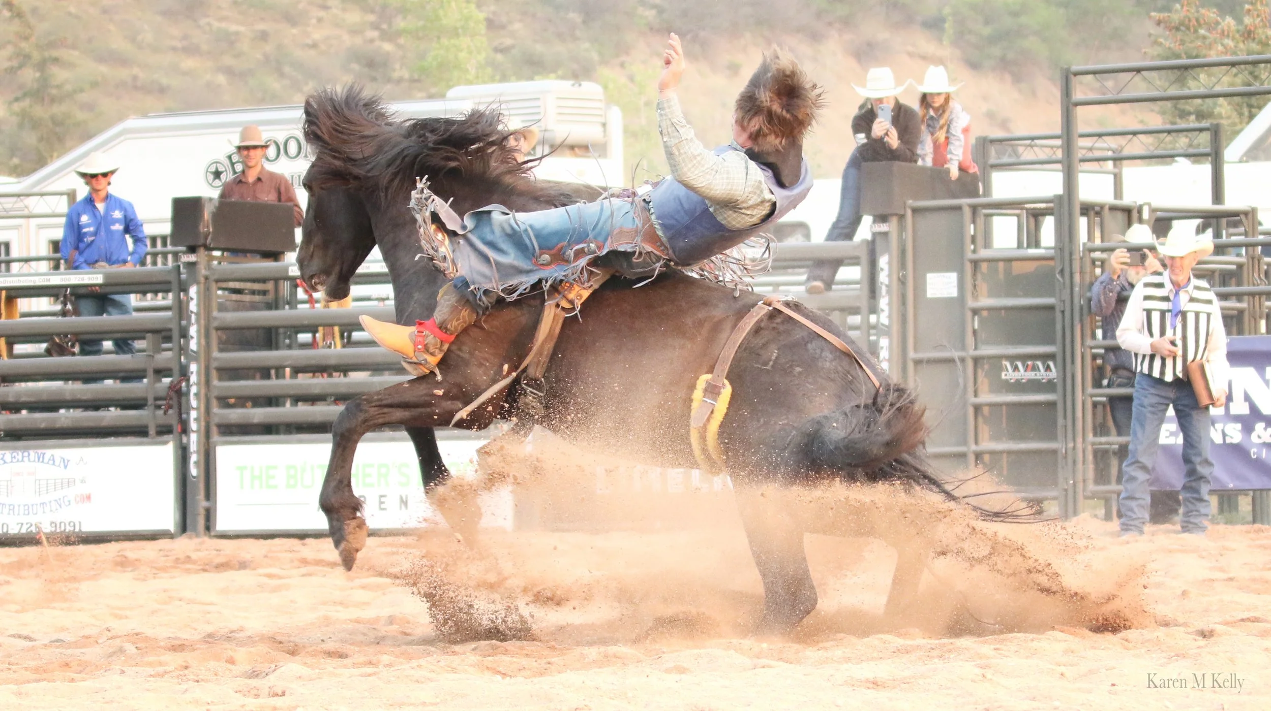 IMG_0644 copy.jpg