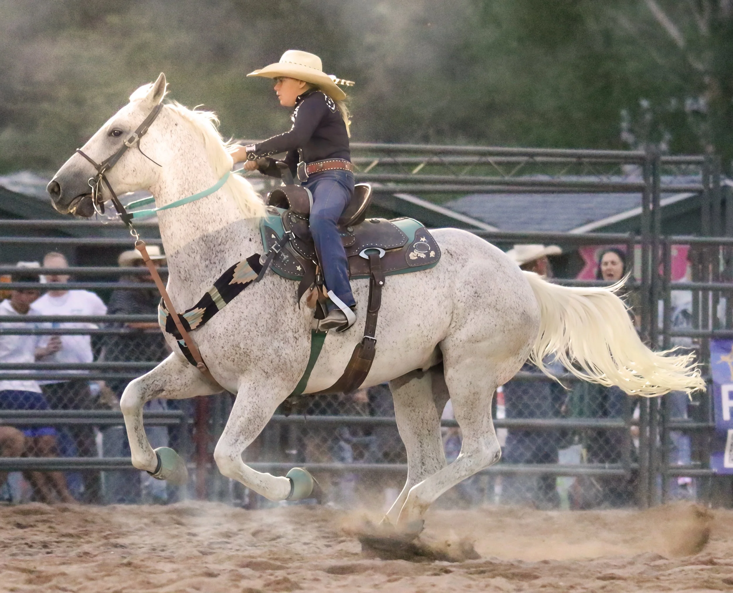 IMG_0951 copy.jpg