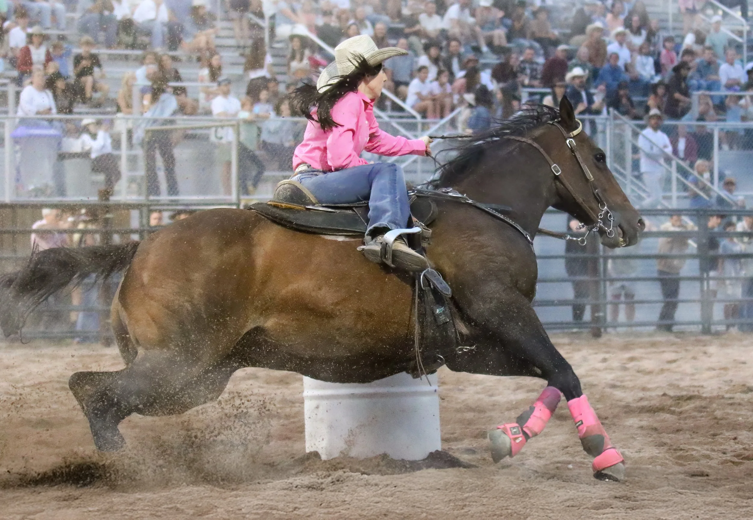IMG_1156 copy.jpg