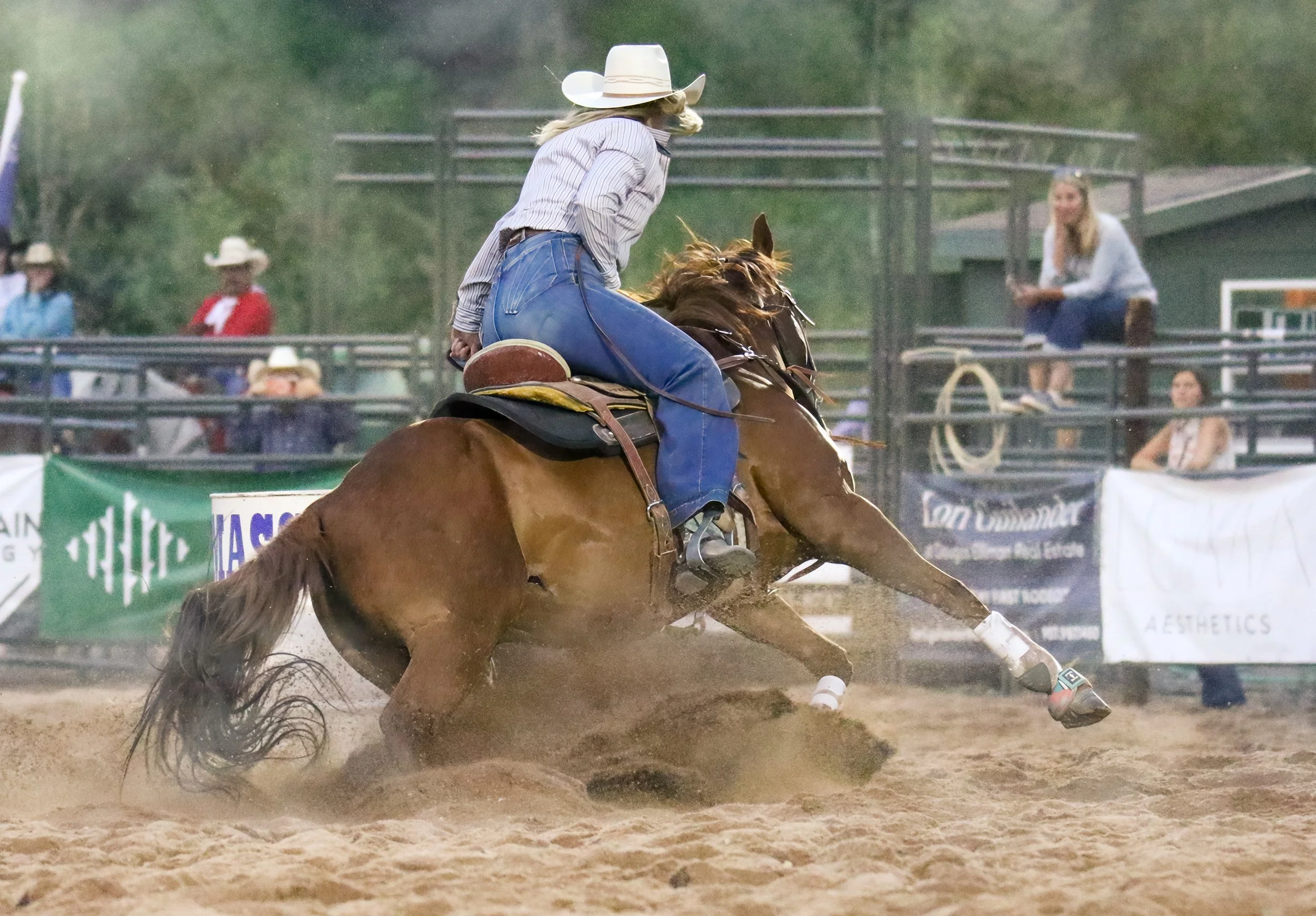 IMG_1202 copy.jpg