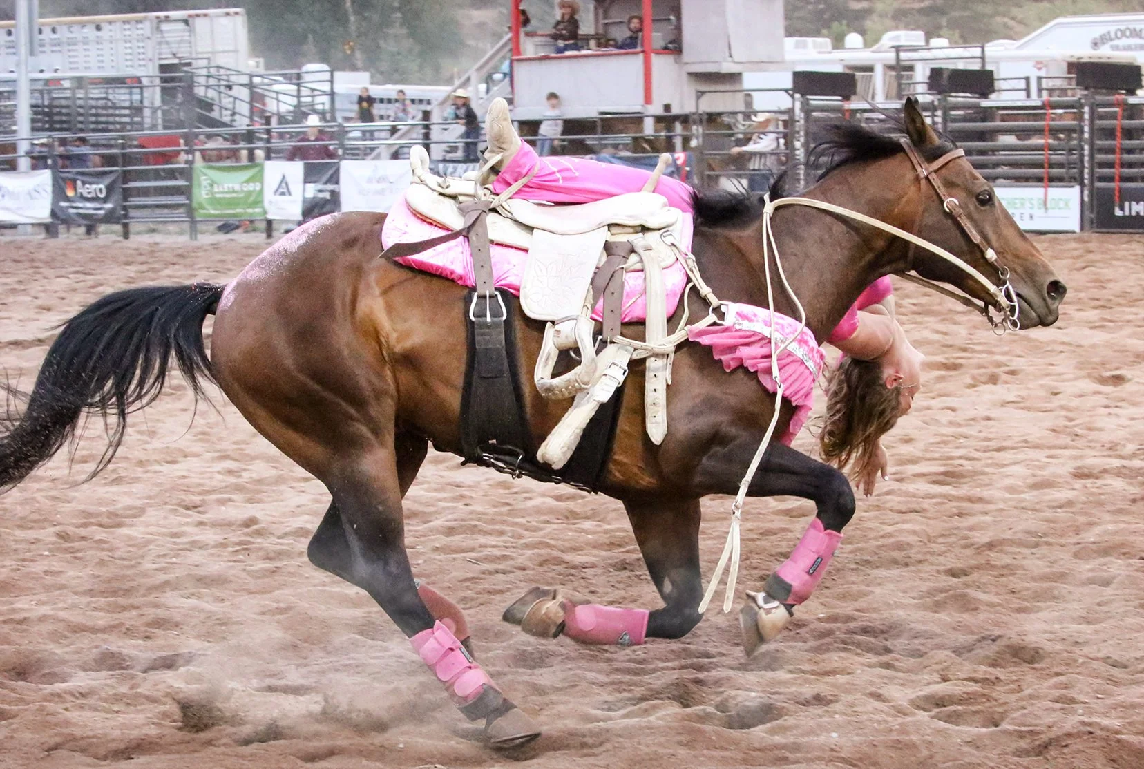IMG_9655 copy 2.jpg