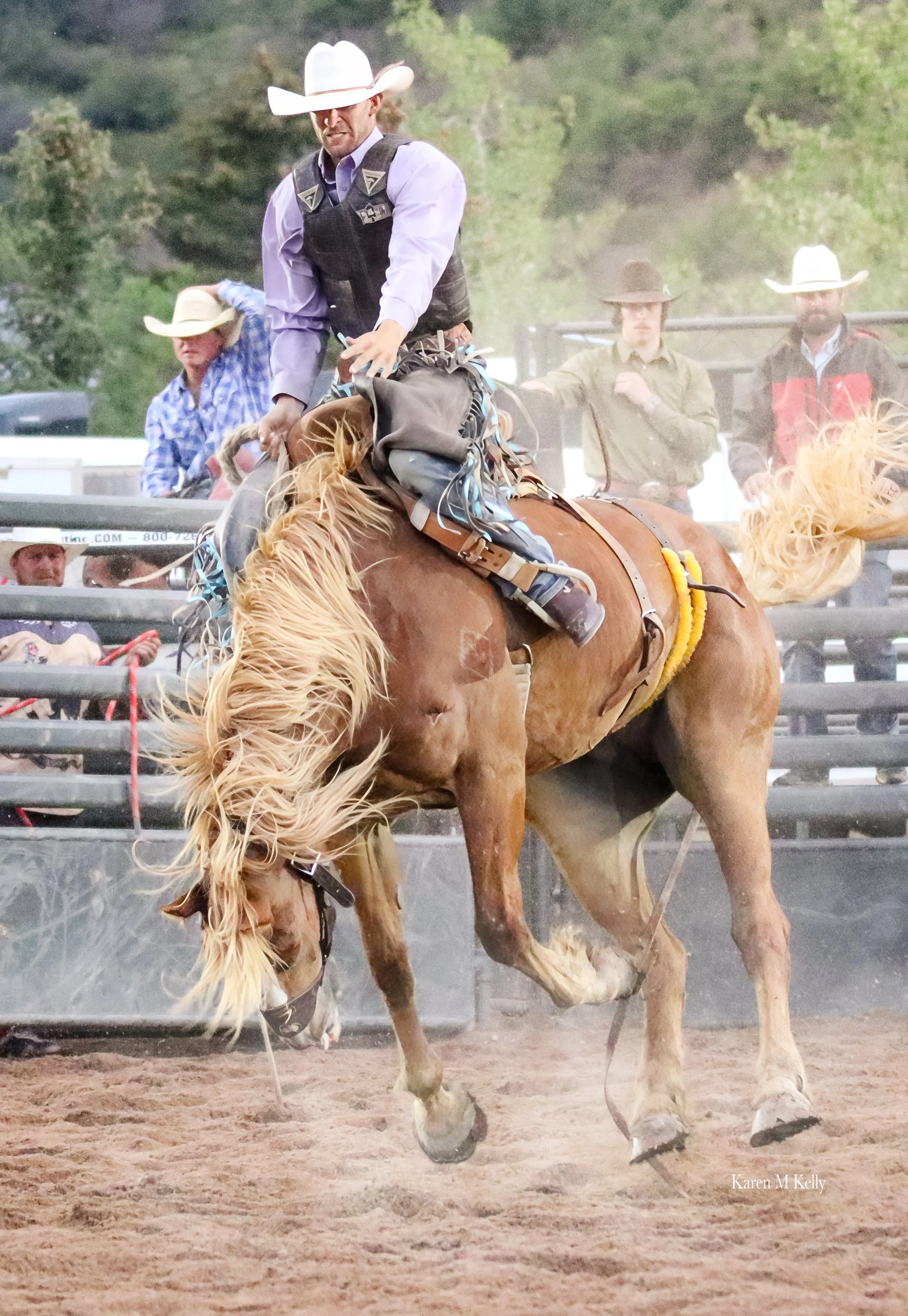 IMG_3766 copy.jpg