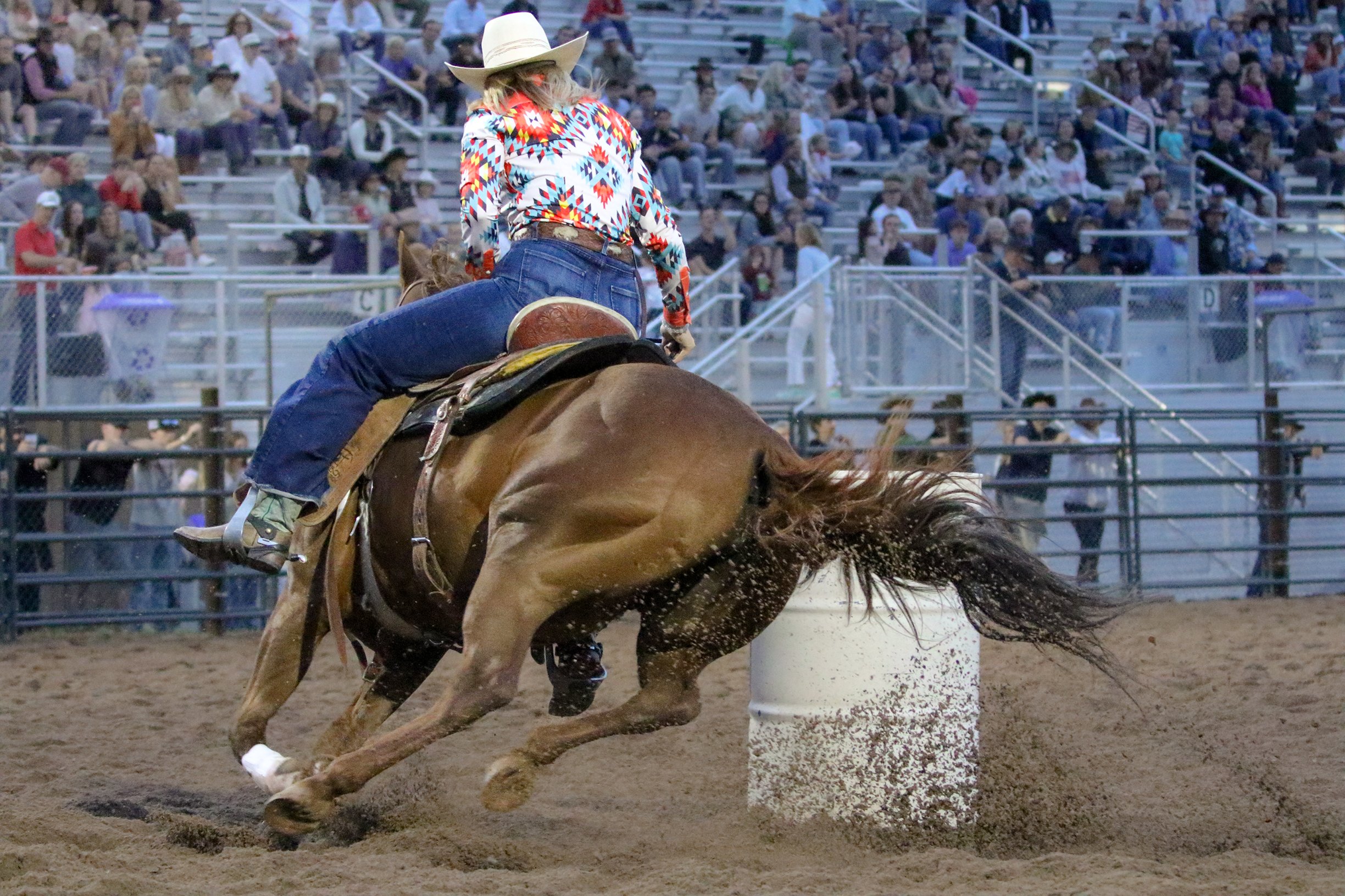 IMG_4429 copy.jpg