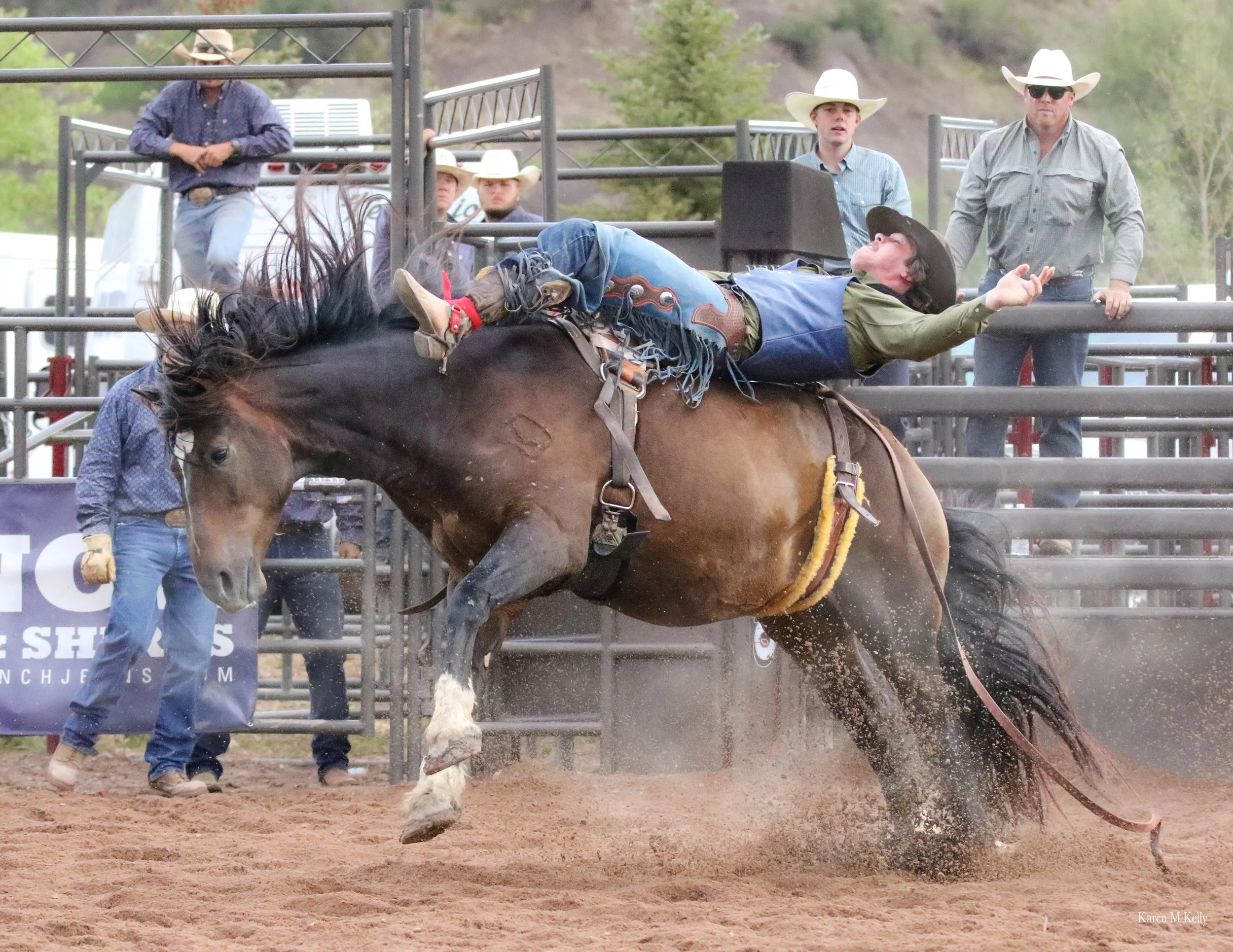 IMG_1935 copy 2.jpg