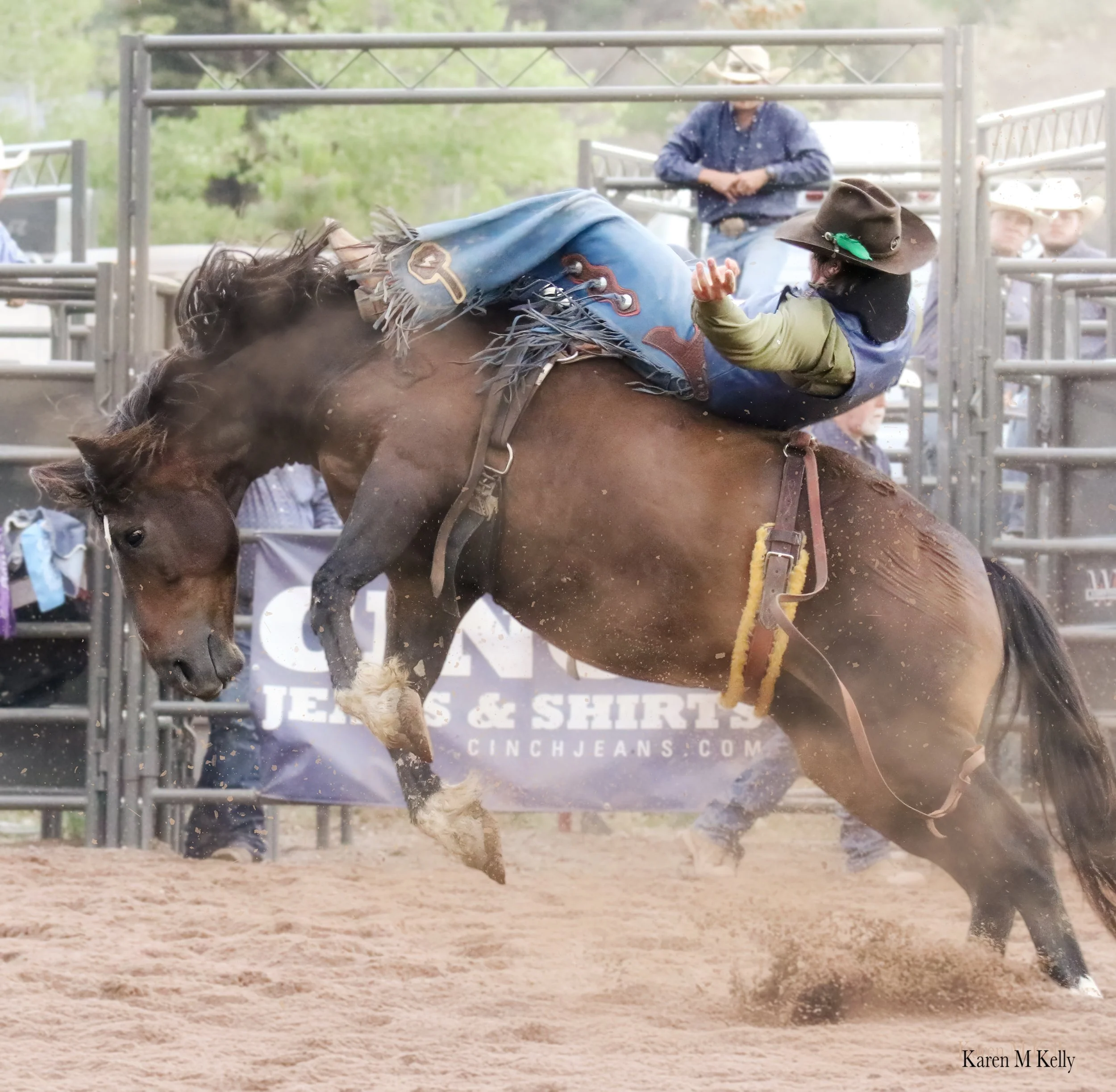 IMG_1940 copy.jpg
