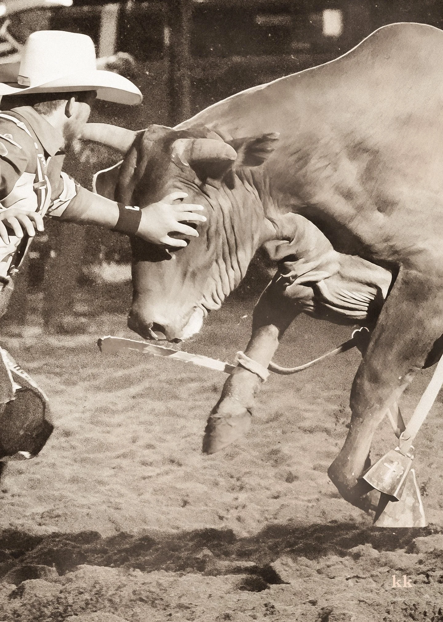 H93A1910 copy 2.jpg