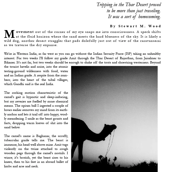 Desert Song1.jpg