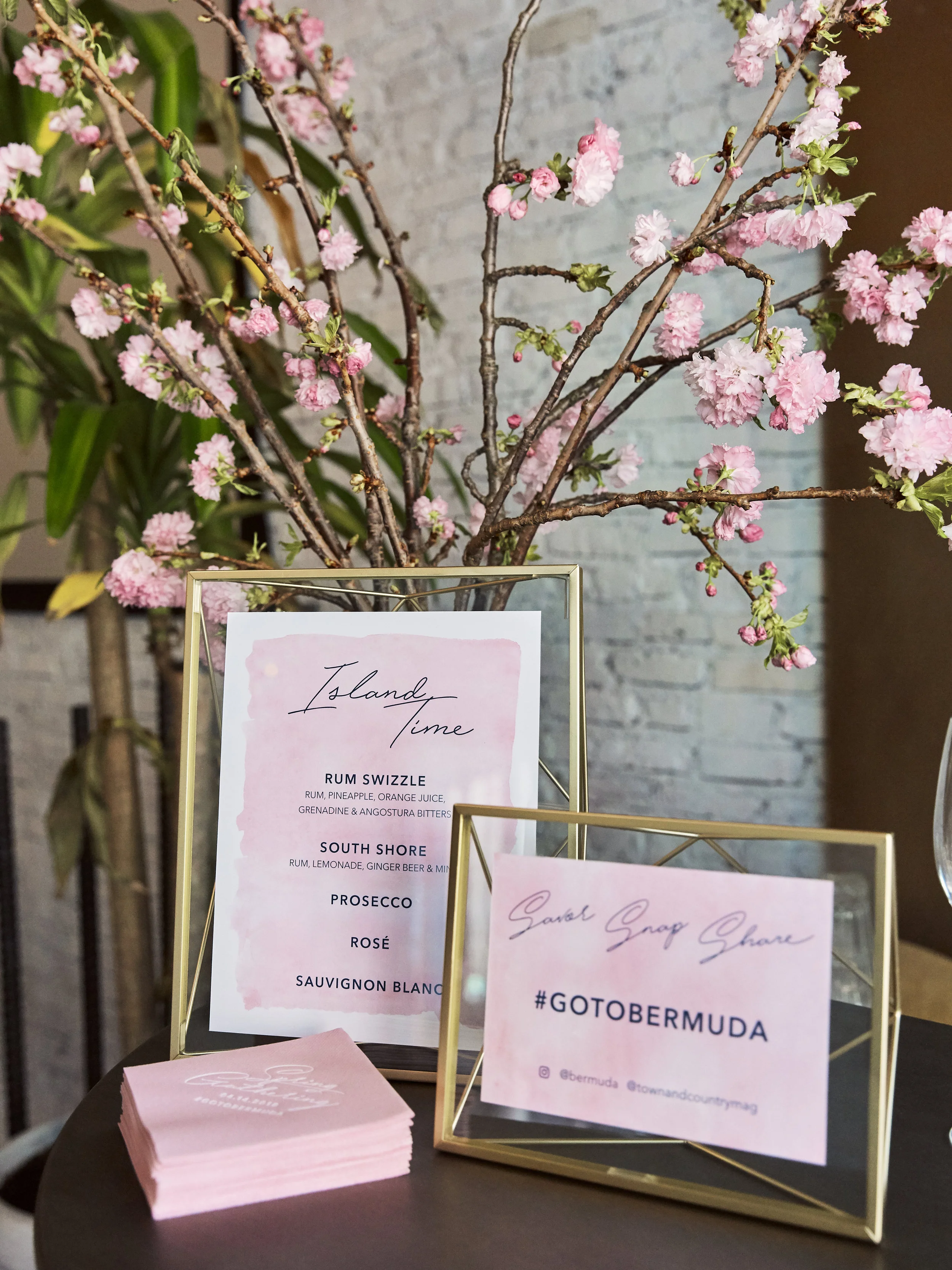 180414_TC_bermuda_ 32.jpg