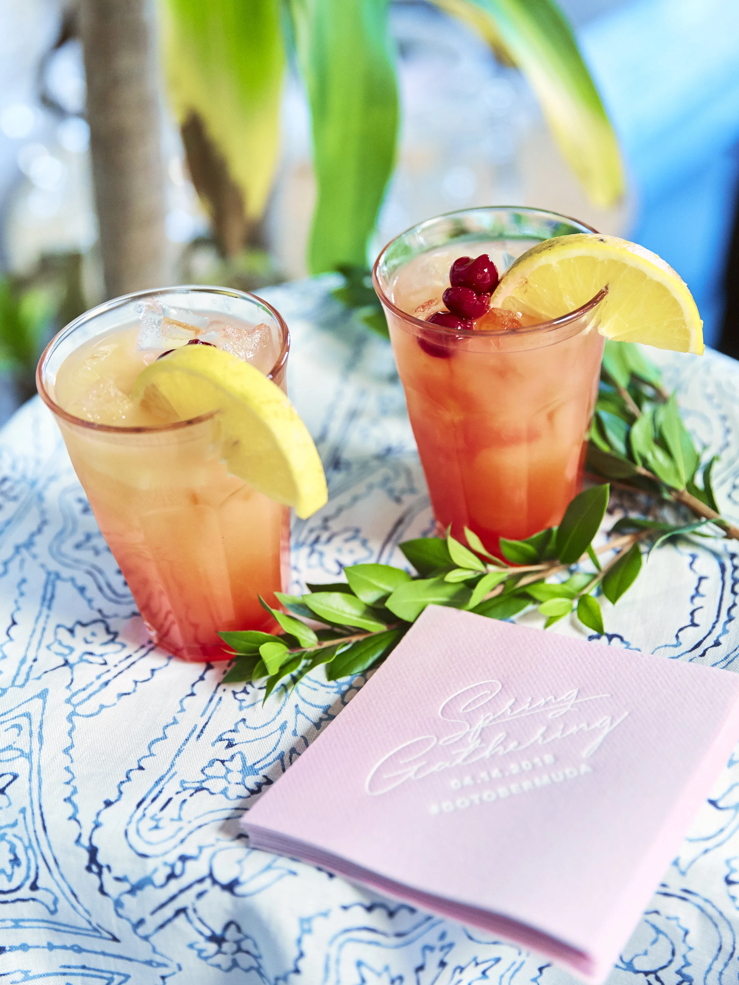 180414_TC_bermuda_ 120.jpg