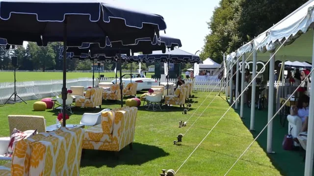 Greenwich Polo VIP Experience