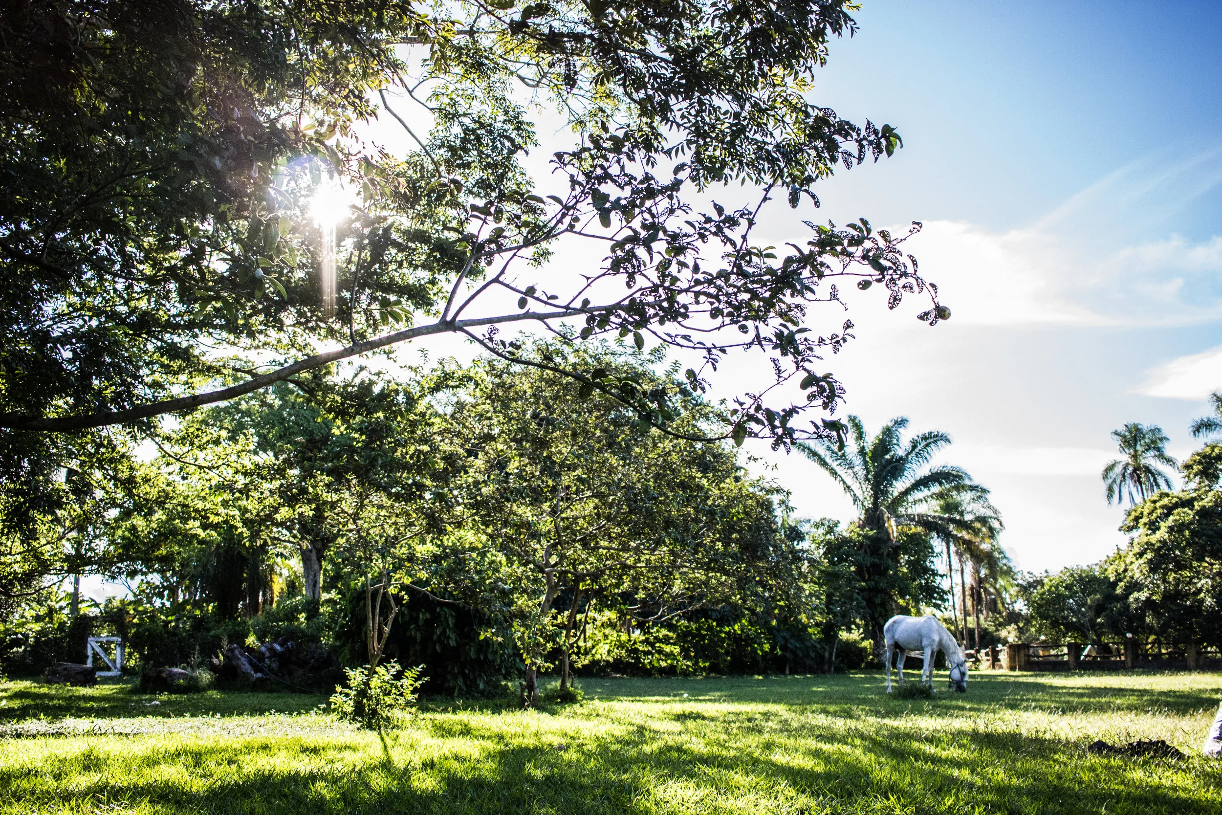 DAYS 161 - 175: RANCHO MONTANA, SANTA CRUZ - (BOLIVIA PART THREE)