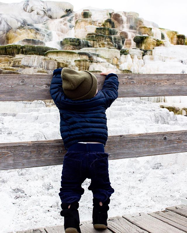 Took Ketch to Yellowstone for the first time yesterday. At first he was stoked...