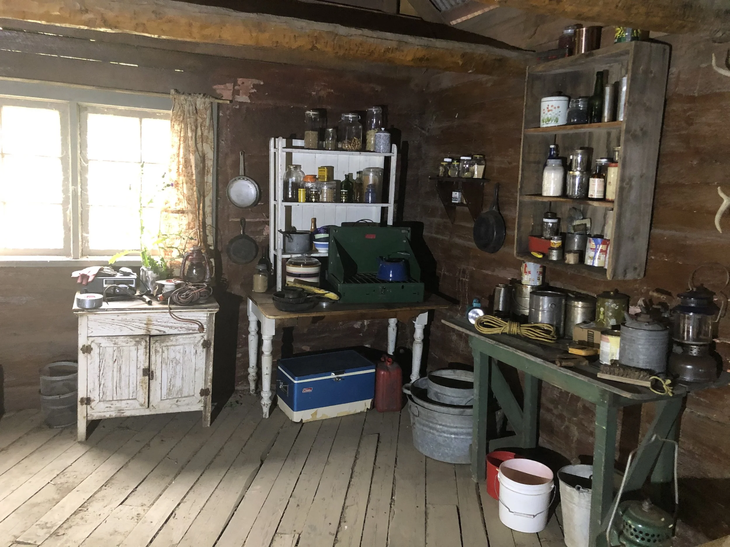 Serial Killer Cabin