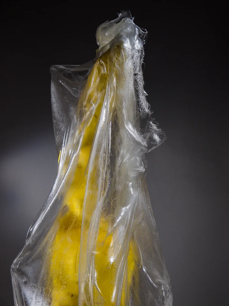 Yellow with Veil 1-3.jpg