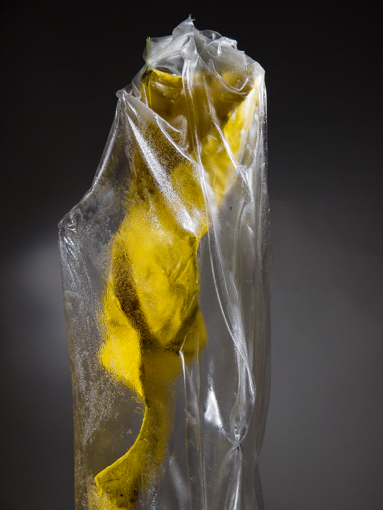 Yellow with Veil 1-5.jpg