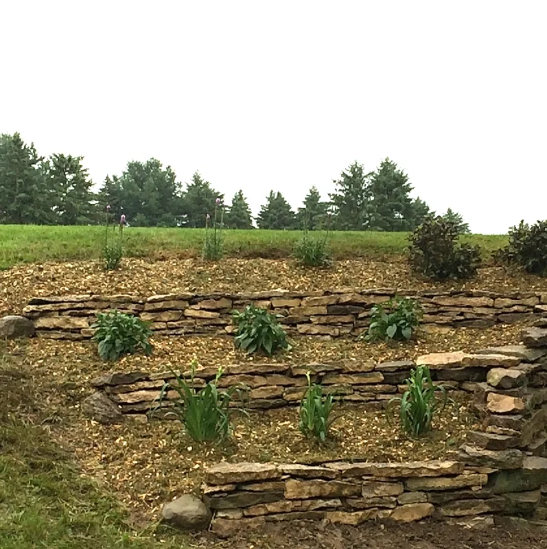 Terraced stone garden with plants and shrubs on a grassy landscape