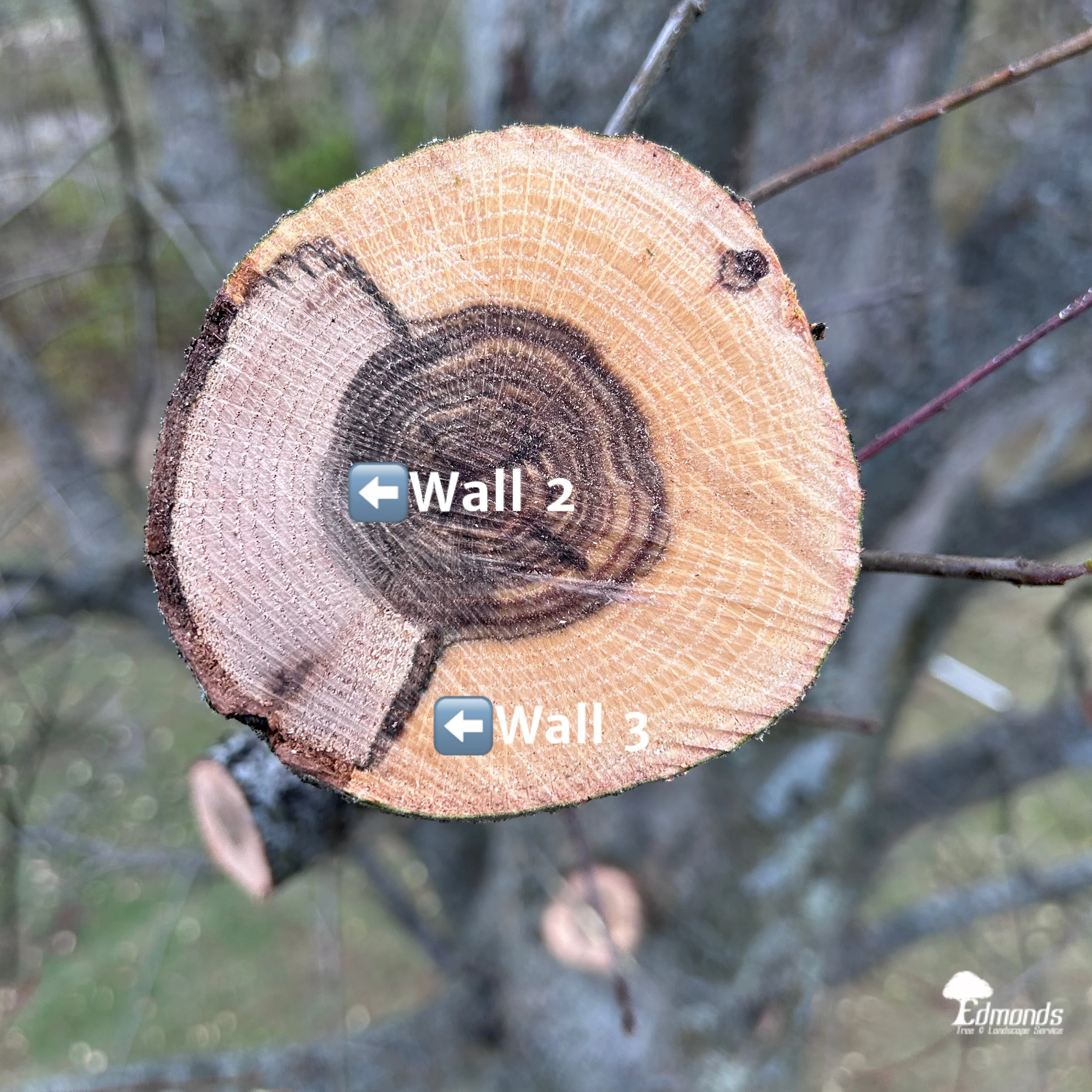 Learning about CODIT in Columbus 