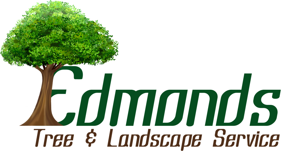 Edmonds Tree & Landscape Service 