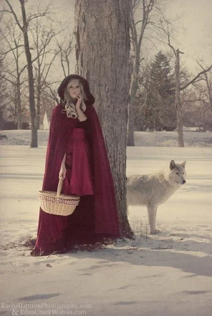 Plush Micro Velvet Cape