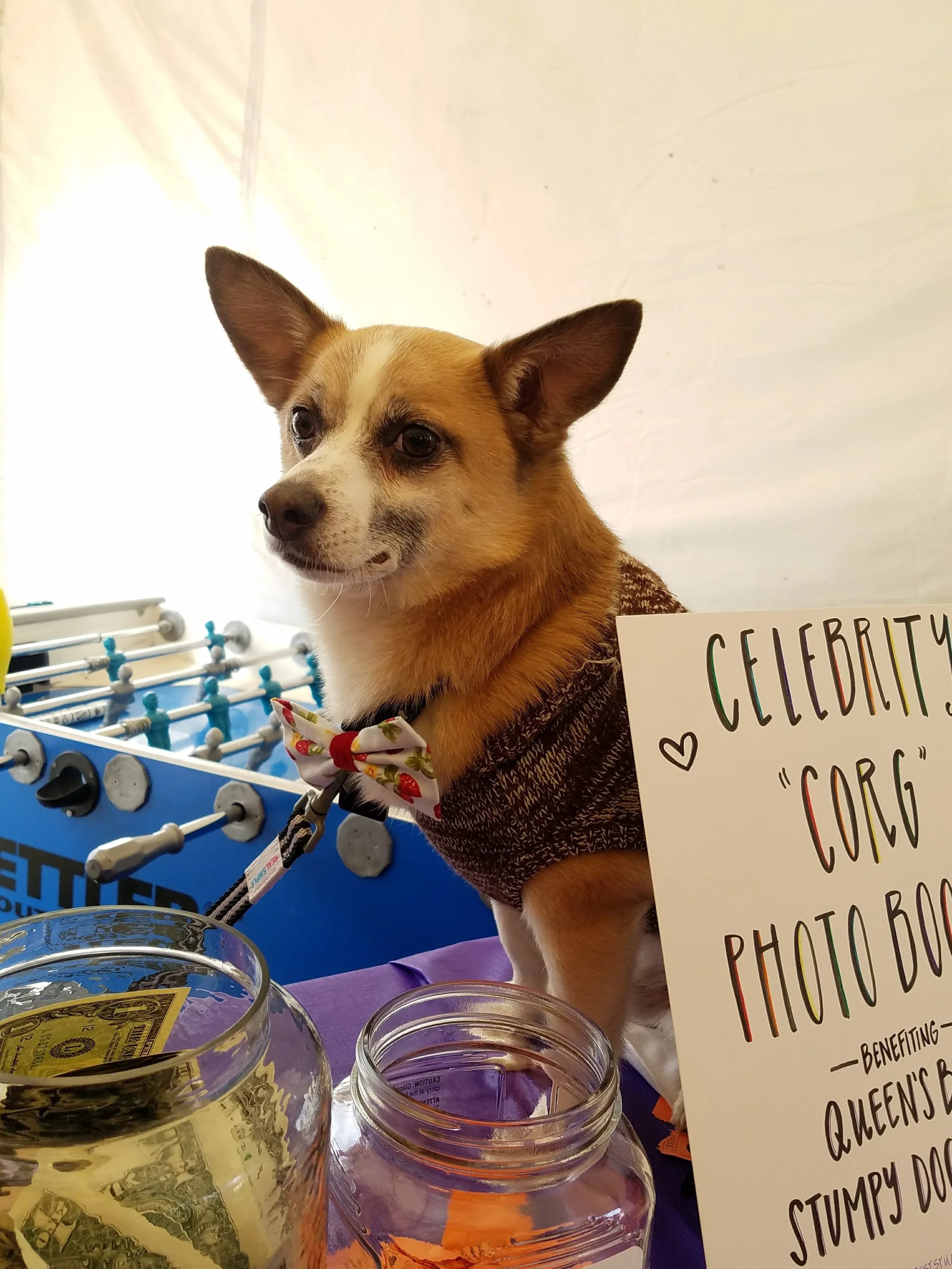 20171119_132755.jpg