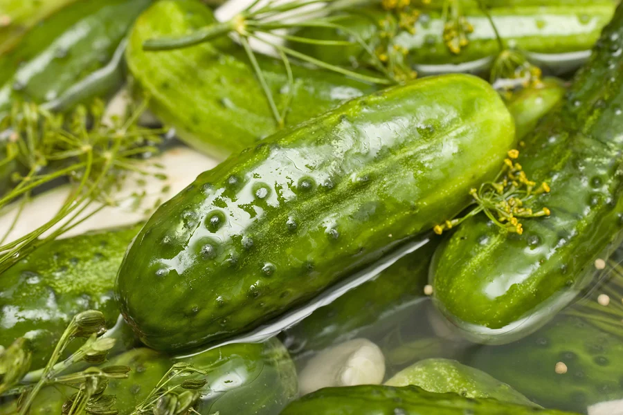 bigstock-Homemade-Fresh-Dill-Pickle-2817481.jpg