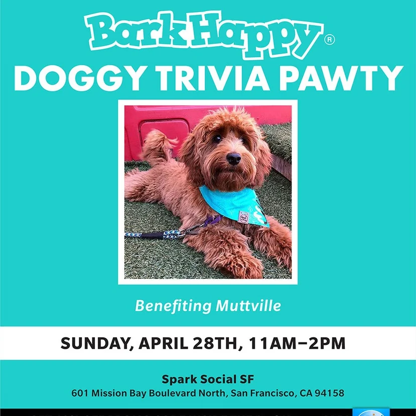 04APR19_SF_DoggyTriviaPawty (1).jpeg