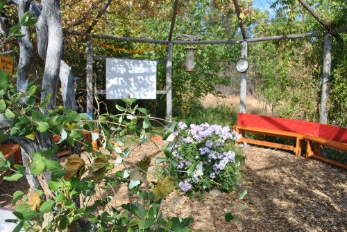 Learning circle space in the middle of the garden.