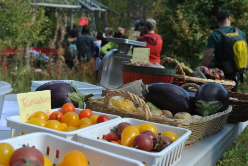 The "nightshade" table at the farmer's market.