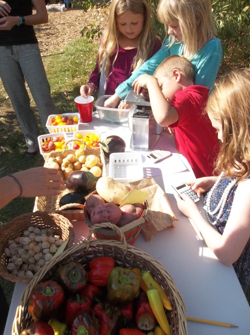 Second Graders measuring the harvest at the mock farmer's market.