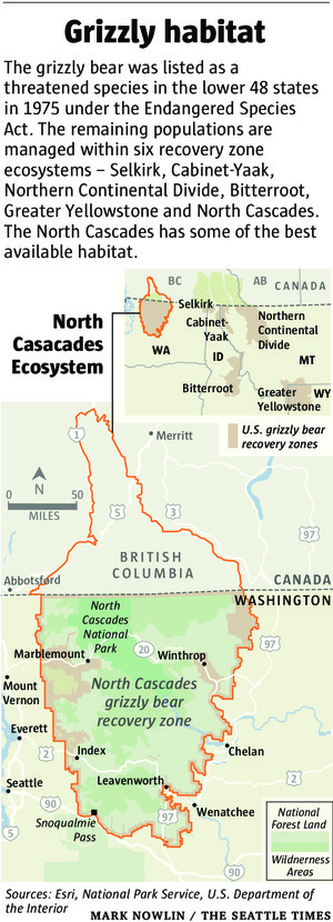 Grizzly Habitat in the North Cascades. Photo courtesy of the Seattle Times .