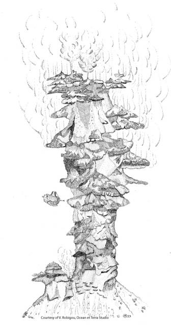 Véronique’s illustration of the Godzilla Vent. Note the submersable that she drew from located on the left hand side of the illustration. Retrieved from marine-geo.org